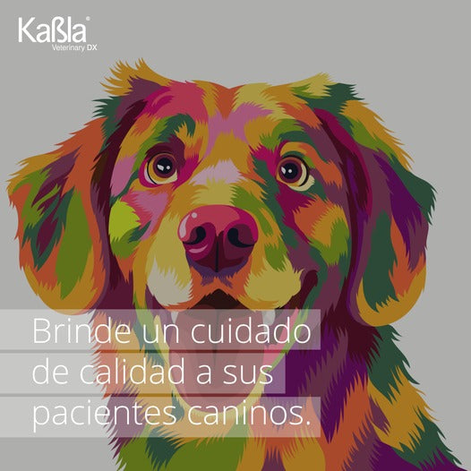 Cargue la imagen en el visor de la galería, Prueba de Distemper y Parvovirus Vechek - Kit con 10 pruebas