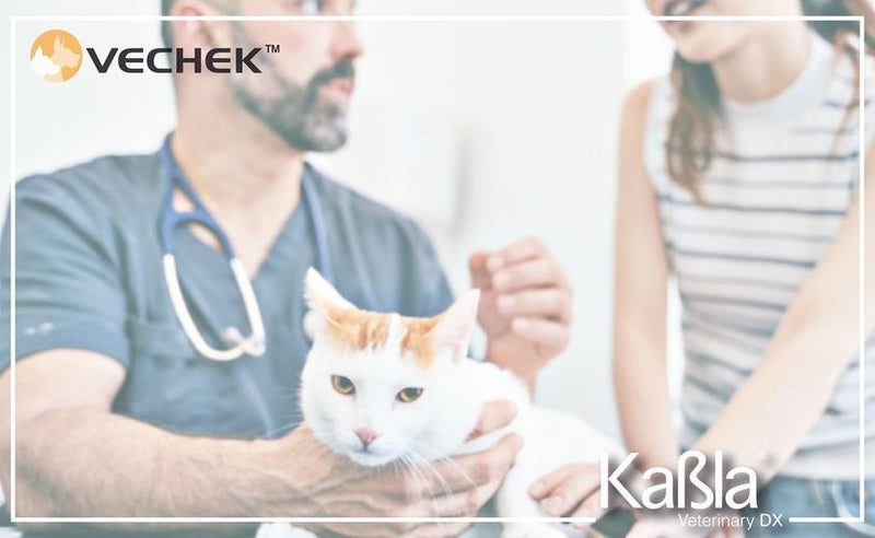 Cargue la imagen en el visor de la galería, Prueba de Leucemia e Inmunodeficiencia Vechek - Kit con 10 pruebas