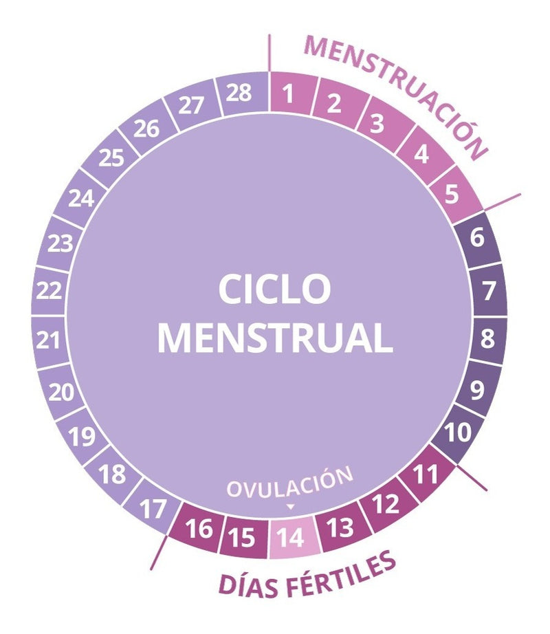 Cargue la imagen en el visor de la galería, Predictor de Ovulación Digital Certum Home Test - Kit con 7