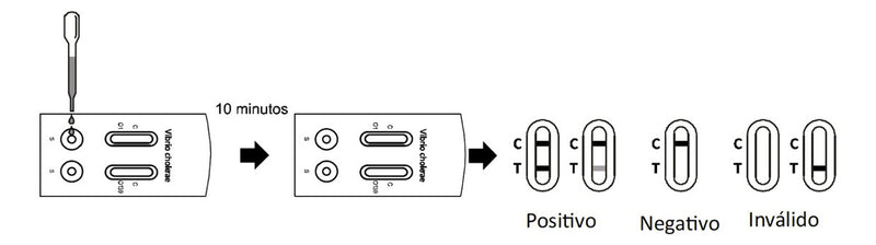 Cargue la imagen en el visor de la galería, Prueba para Cólera Certum - Kit con 10