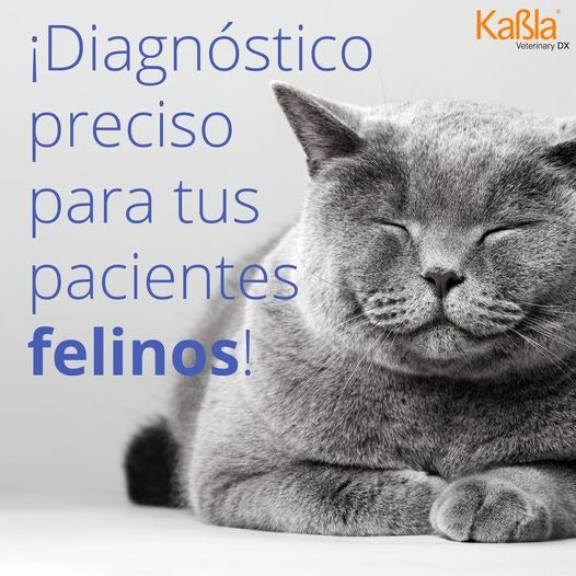 Cargue la imagen en el visor de la galería, Prueba de Calicivirus Felina (ag) Vechek - Kit con 10 pruebas