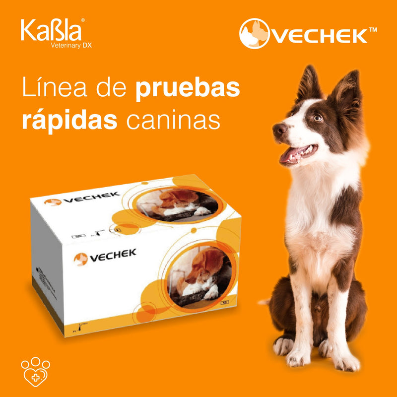 Cargue la imagen en el visor de la galería, Prueba de la Relaxina Canina Vechek - Kit con 10 pruebas