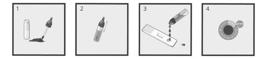 Prueba de Campylobacter Jejuni Certest - Kit con 20