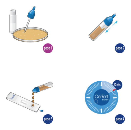 Prueba de E. Coli Certest - Kit con 20