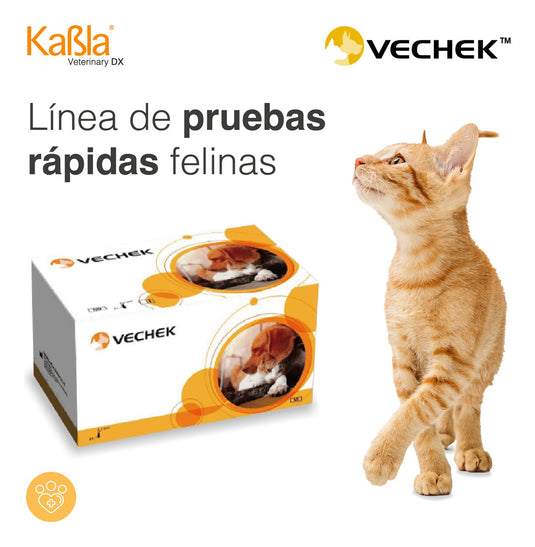 Prueba de Calicivirus Felina (ag) Vechek - Kit con 10 pruebas