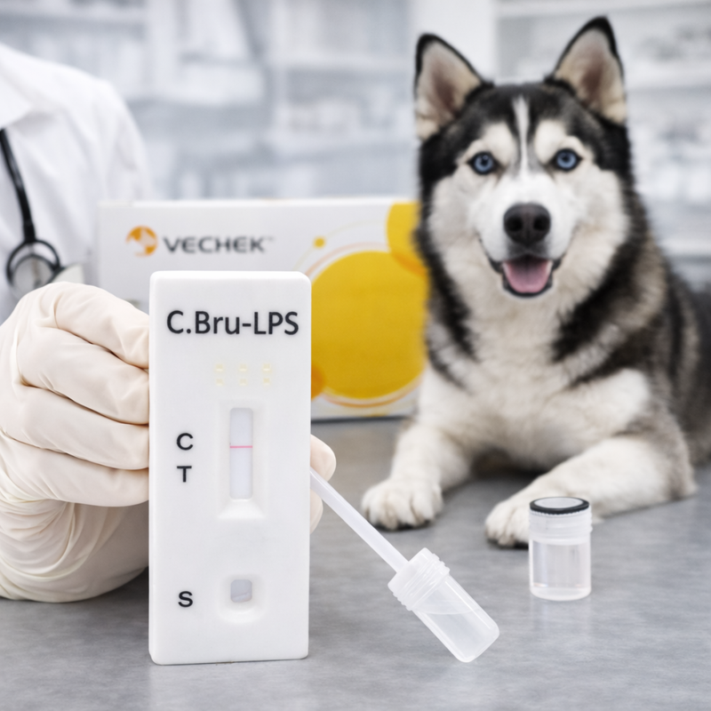 Cargue la imagen en el visor de la galería, Prueba de Brucella Canina Lps Vechek - Kit con 10 pruebas
