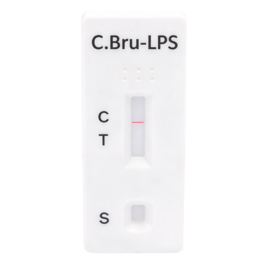 Prueba de Brucella Canina Lps Vechek - Kit con 10 pruebas