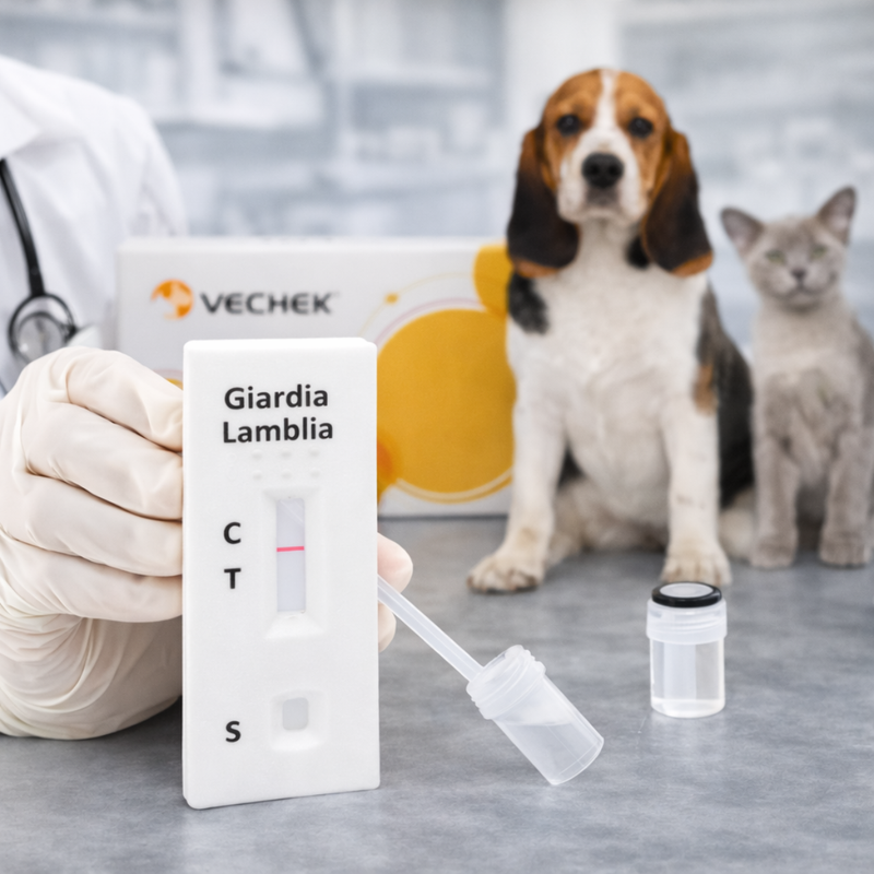 Cargue la imagen en el visor de la galería, Prueba de Giardia Lamblia Vechek - Kit con 10 pruebas
