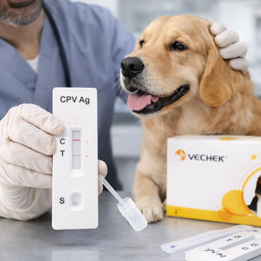Prueba de Parvovirus (ag) Vechek - Kit con 10 pruebas