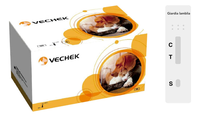 Prueba de Giardia Lamblia Vechek - Kit con 10 pruebas